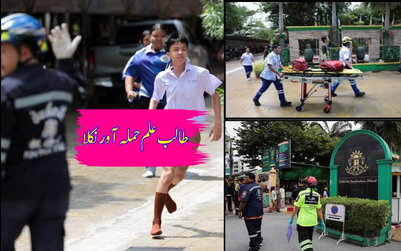اسکول میں فائرنگ کا افسوسناک واقعہ، حملہ آور طالب علم نے خود کشی کرلی، متعدد افراد زخمی 